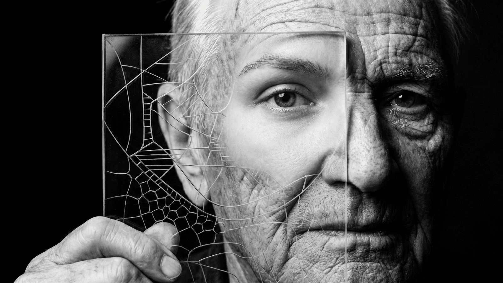 Through the lens of mathematical correction, the statistical noise of aging is filtered away, revealing a highly heritable and reprogrammable biological blueprint.